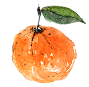 Imagen de una mandarina